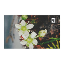 Load image into Gallery viewer, Kitchen Towel Tiitorfiit allarutaat Arctic Flora