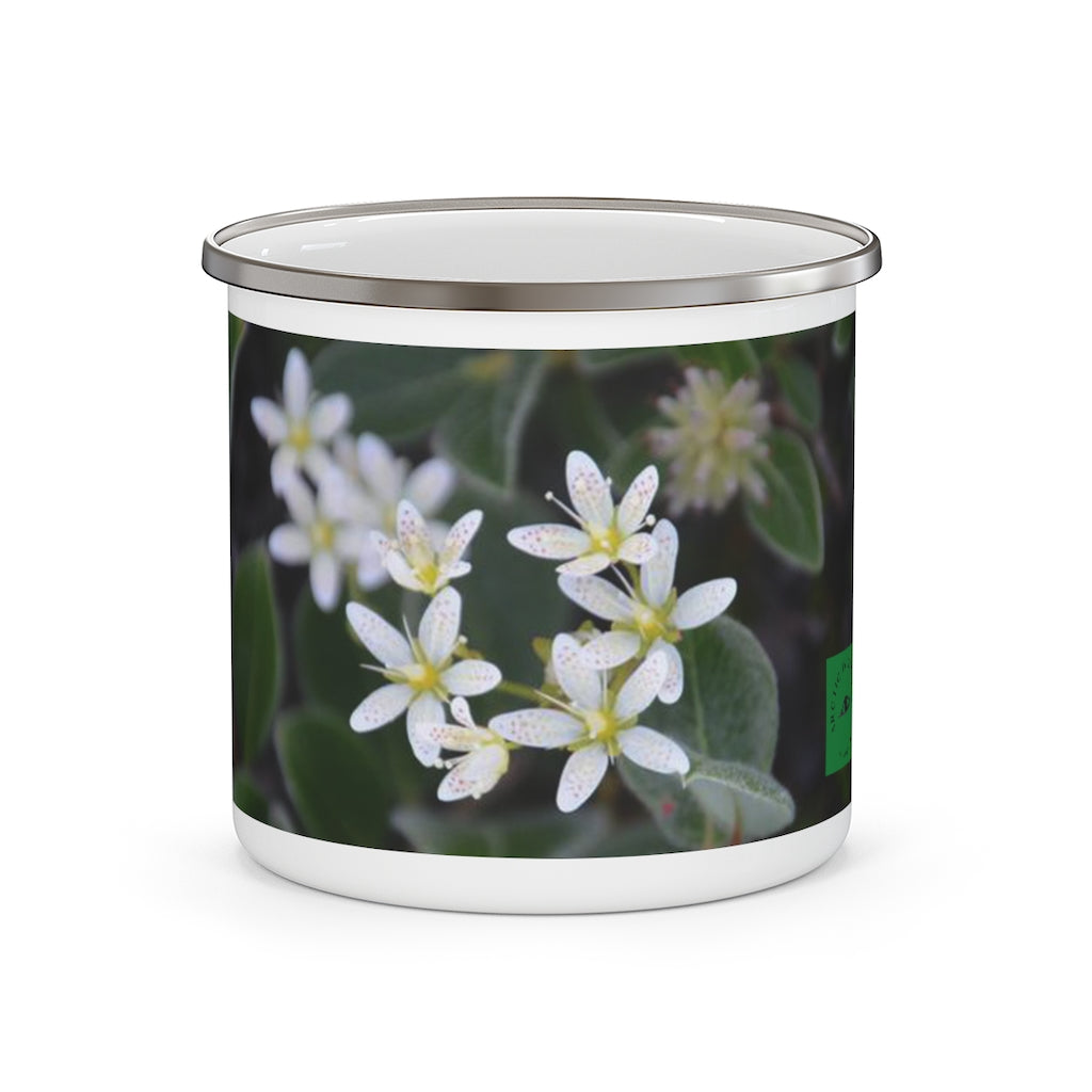 ISIMIARCTIC Flora tiitorfik